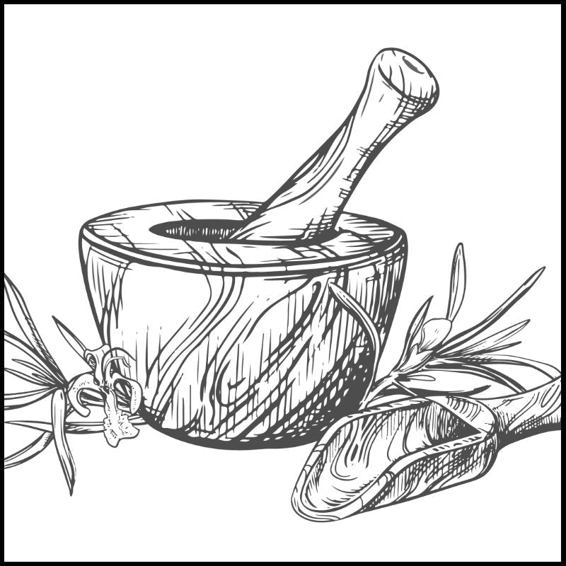 Mörser mit Pflanzen