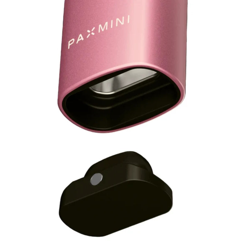 PAX Mini 2 kompakter Vaporizer in Rosa mit herausnehmbarer Ofenkammer und minimalistischem Design